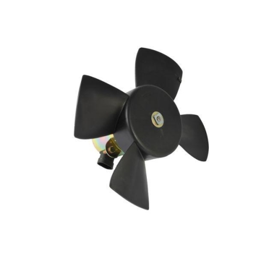 THERMOTEC Elektromotor, K&uuml;hlerl&uuml;fter D8X001TT