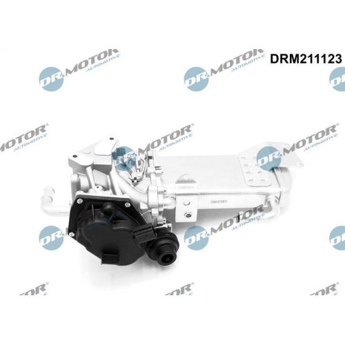 Dr.Motor Automotive AGR-Ventil DRM211123