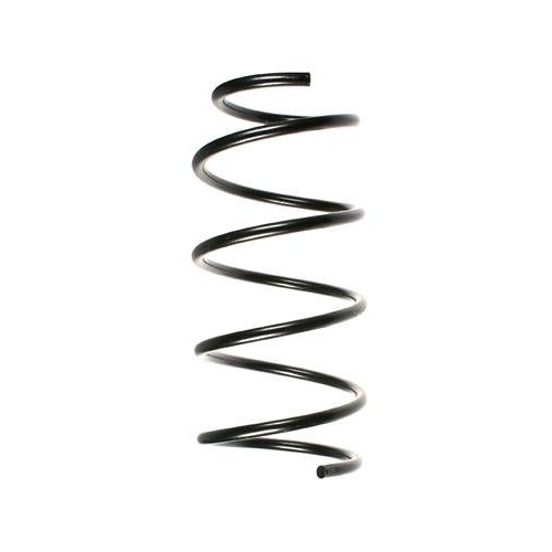 SPIDAN Fahrwerksfeder 48454