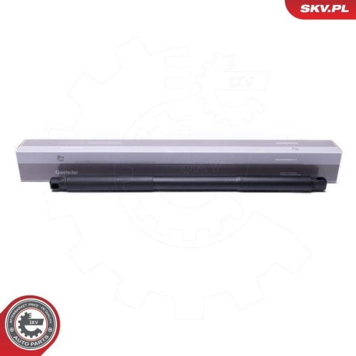ESEN SKV Elektromotor, Heckklappe 52SKV957