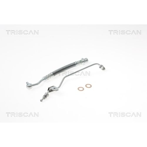 TRISCAN Bremsschlauch 8150 18229