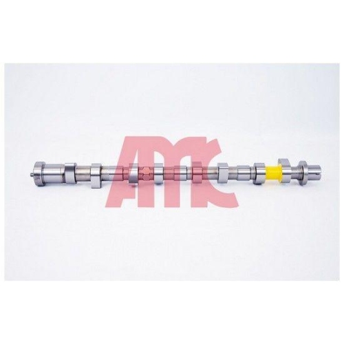 AMC Nockenwelle 647263