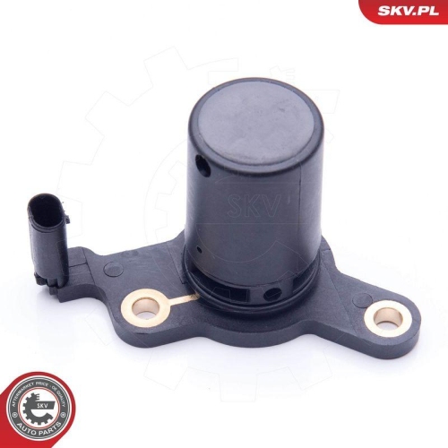 ESEN SKV Sensor, Motor&ouml;lstand 17SKV397