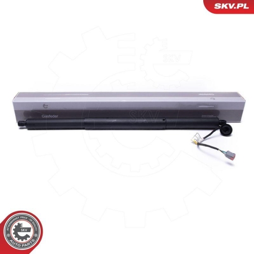 ESEN SKV Elektromotor, Heckklappe 52SKV951