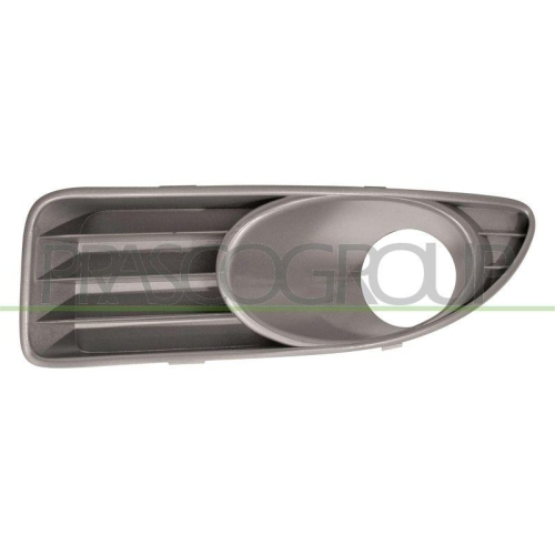 PRASCO L&uuml;ftungsgitter, Sto&szlig;f&auml;nger FT4402136