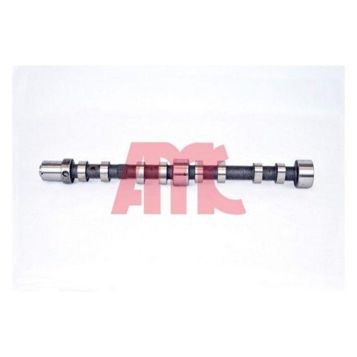 AMC Nockenwelle 647274