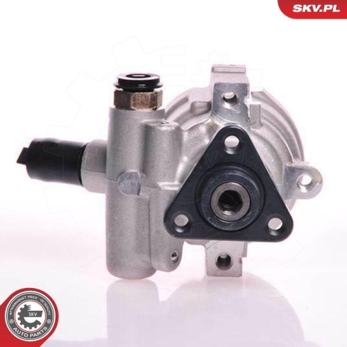 ESEN SKV Hydraulikpumpe, Lenkung 10SKV141
