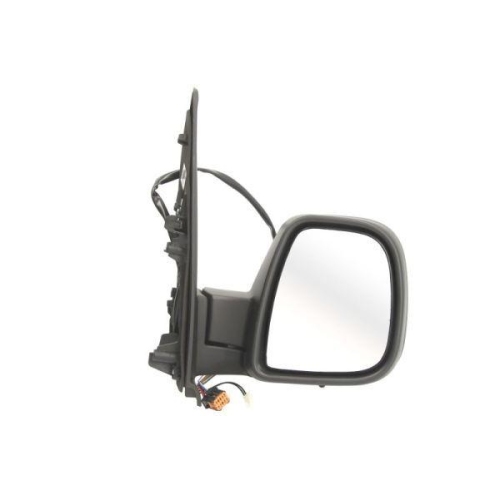 BLIC Außenspiegel 5402-04-2103396P