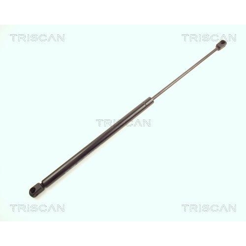 TRISCAN Gasfeder, Koffer-/Laderaum 8710 16236