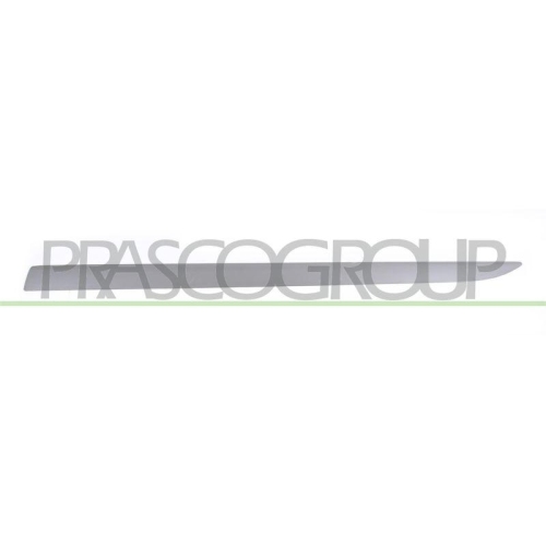 PRASCO Zier-/Schutzleiste, T&uuml;r OP0341444
