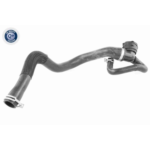 VAICO K&uuml;hlerschlauch Q+, Erstausr&uuml;sterqualit&auml;t V25-1164