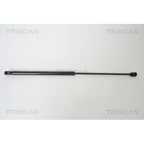 TRISCAN Gasfeder, Koffer-/Laderaum 8710 16240