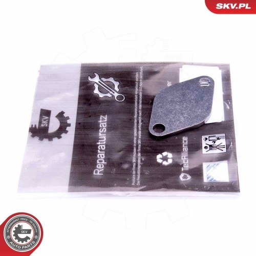 ESEN SKV Reparatursatz, AGR-Ventil 14SKV541