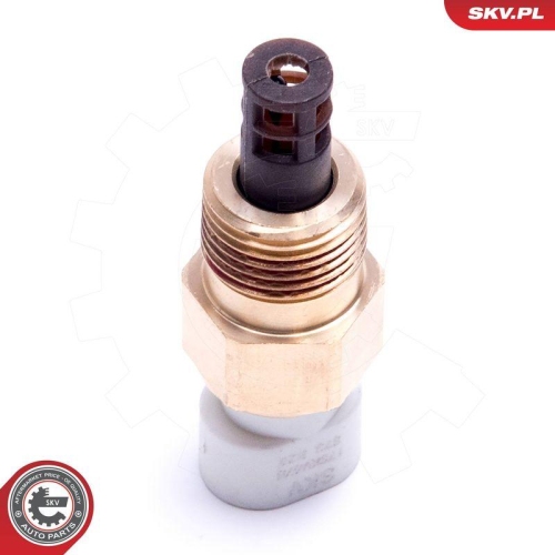 ESEN SKV Sensor, Ansauglufttemperatur 17SKV678