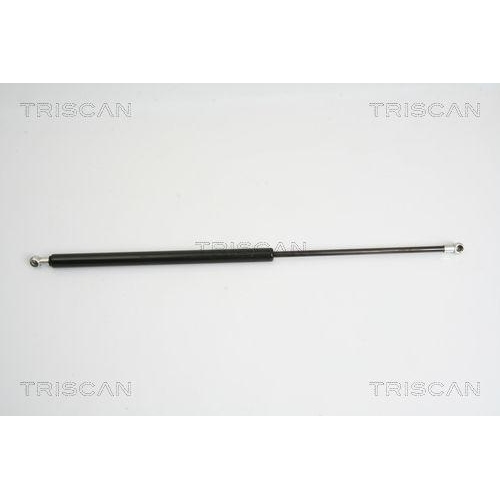 TRISCAN Gasfeder, Koffer-/Laderaum 8710 16246