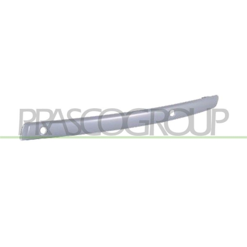 PRASCO Zier-/Schutzleiste, Sto&szlig;f&auml;nger PremiumCertified BM1211231