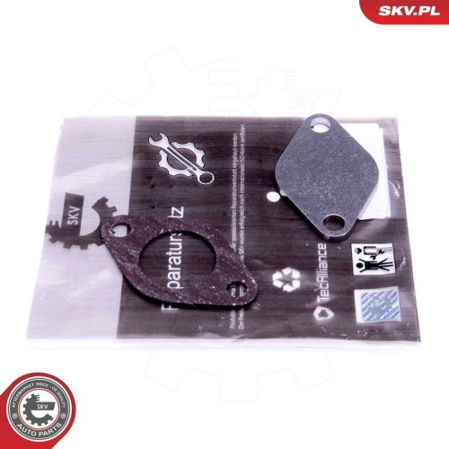 ESEN SKV Reparatursatz, AGR-Ventil 14SKV542