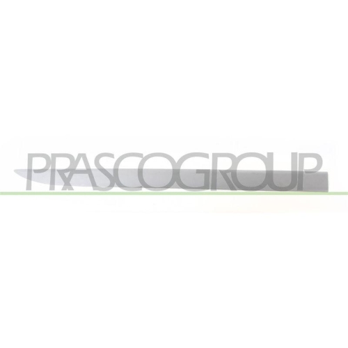 PRASCO Zier-/Schutzleiste, T&uuml;r OP0341423