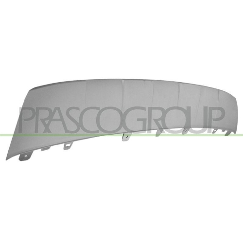 PRASCO Zier-/Schutzleiste, Sto&szlig;f&auml;nger AD8261215
