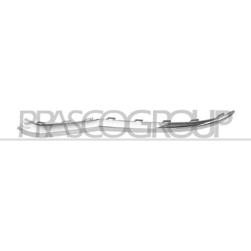 PRASCO Zier-/Schutzleiste, Sto&szlig;f&auml;nger VG7701244