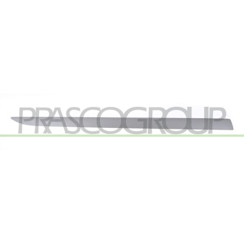 PRASCO Zier-/Schutzleiste, T&uuml;r OP0341443