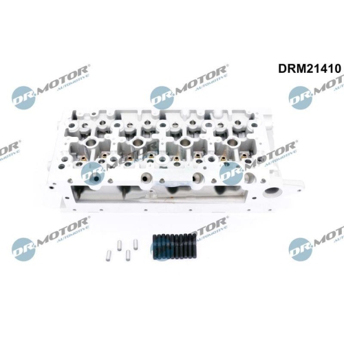 Dr.Motor Automotive Zylinderkopf DRM21410