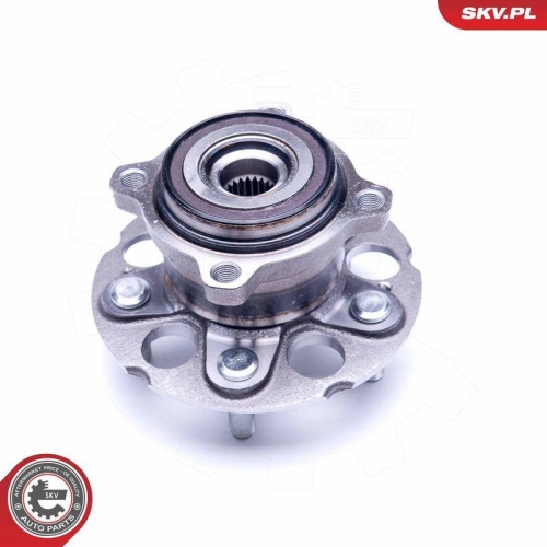ESEN SKV Radlagersatz 29SKV281