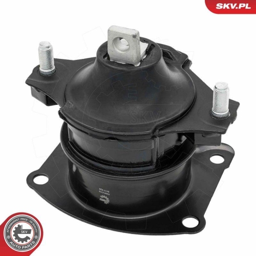 ESEN SKV Lagerung, Motor 75SKV319