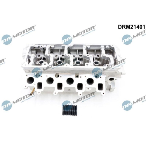 Dr.Motor Automotive Zylinderkopf DRM21401