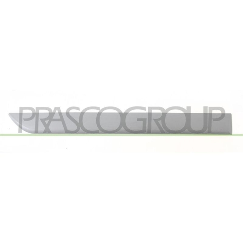 PRASCO Zier-/Schutzleiste, T&uuml;r OP0341463