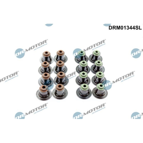Dr.Motor Automotive Dichtungssatz, Ventilschaft DRM01344SL
