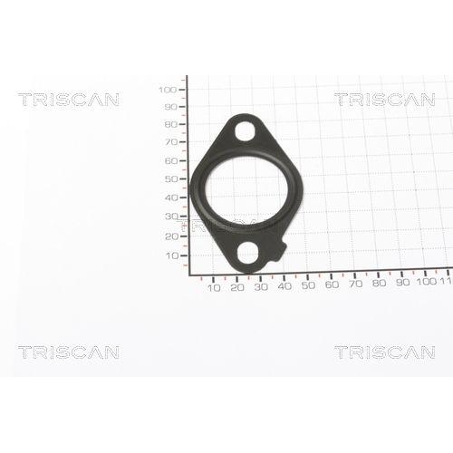 TRISCAN Dichtung 8813 99124