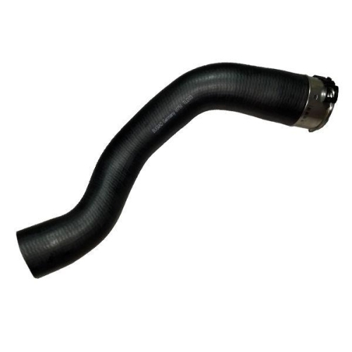 BUGIAD Ladeluftschlauch 81751