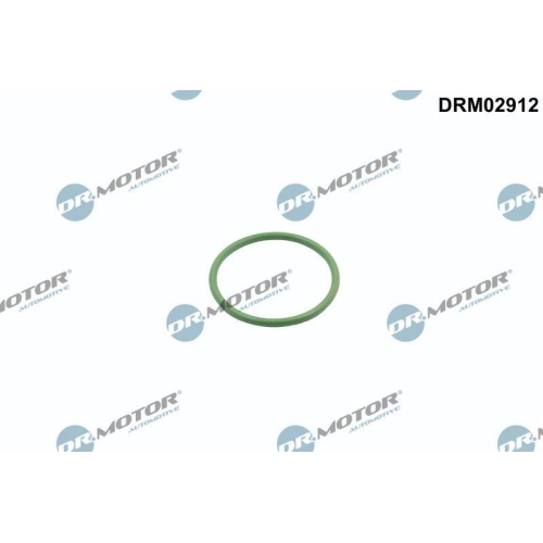 Dr.Motor Automotive Dichtring DRM02912