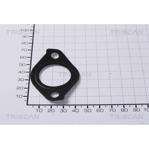 TRISCAN Dichtung 8813 99125