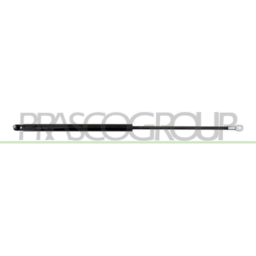 PRASCO Gasfeder, Koffer-/Laderaum FT1219065