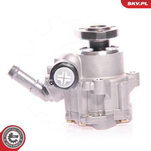 ESEN SKV Hydraulikpumpe, Lenkung 10SKV165