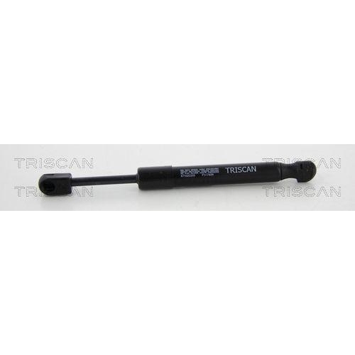 TRISCAN Gasfeder, Heckscheibe 8710 20205