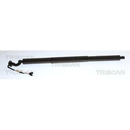 TRISCAN Gasfeder, Koffer-/Laderaum 8710 24303