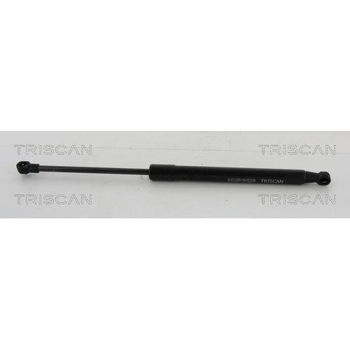 TRISCAN Gasfeder, Koffer-/Laderaum 8710 21210