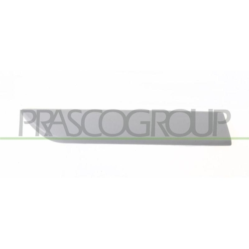 PRASCO Zier-/Schutzleiste, Kotfl&uuml;gel OP0341483