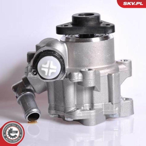 ESEN SKV Hydraulikpumpe, Lenkung 10SKV167