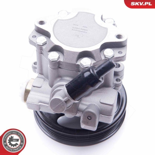 ESEN SKV Hydraulikpumpe, Lenkung 10SKV077