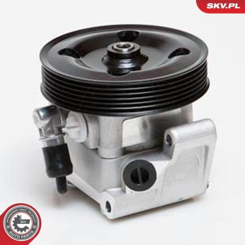 ESEN SKV Hydraulikpumpe, Lenkung 10SKV091