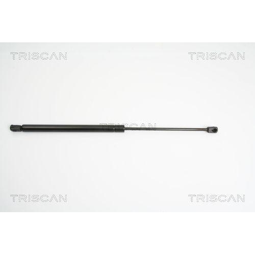 TRISCAN Gasfeder, Koffer-/Laderaum 8710 23213