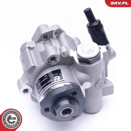 ESEN SKV Hydraulikpumpe, Lenkung 10SKV172
