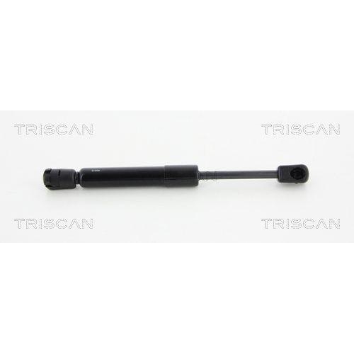 TRISCAN Gasfeder, Koffer-/Laderaum 8710 23223