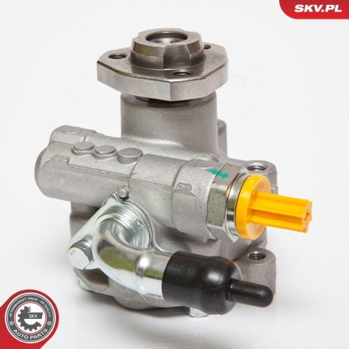 ESEN SKV Hydraulikpumpe, Lenkung 10SKV182