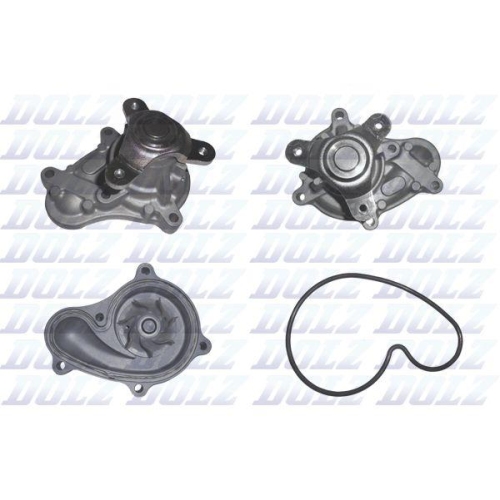 DOLZ Wasserpumpe, Motork&uuml;hlung