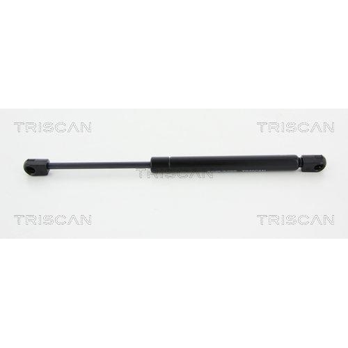 TRISCAN Gasfeder, Koffer-/Laderaum 8710 23229